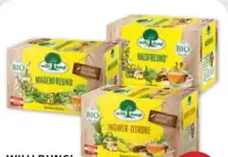 PENNY Willi Dungl Bio-Tee-Sortiment Angebot