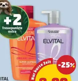 PENNY L'Oréal Paris Elvital Shampoo Angebot