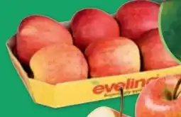 PENNY Evelina Äpfel Angebot