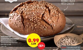 PENNY Herzhaftes Sonnenblumenbrot 500 g Angebot
