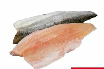 Transgourmet Forellenfilet Angebot