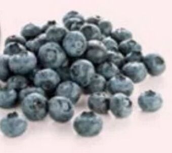 Hofer Heidelbeeren Angebot