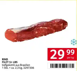 Transgourmet Rind filet 5+ lbs Angebot