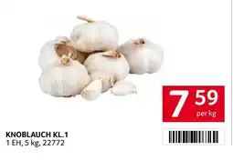 Transgourmet Knoblauch kl.1 Angebot