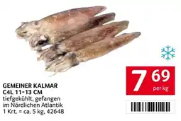 Transgourmet Gemeiner kalmar Angebot