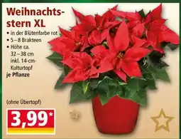 Norma Weihnachtsstern XL Angebot