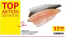 Transgourmet Forellenfilet mit haut Angebot