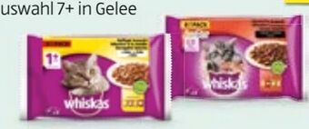 Hofer Katzenfutter Frischebeutel Angebot