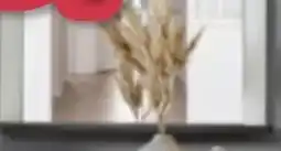 Möbelix Luca Bessoni Spiegel Alassio Angebot