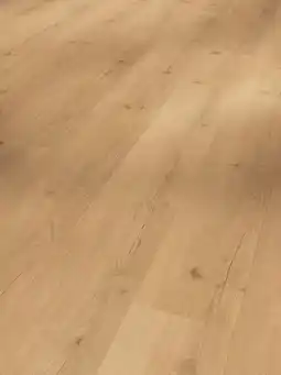 XXXLutz Parador Vinylboden Eiche Cambridge natur Angebot