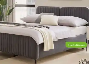 Mömax Boxbett Livetto Angebot