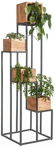 XXXLutz Ambia Blumenständer Angebot