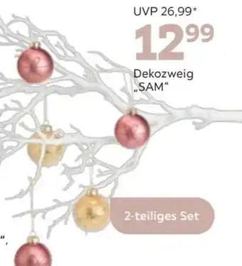 Mömax Dekozweig Sam Angebot