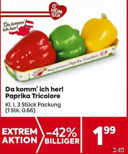Billa Da komm' ich her! Paprika Tricolore Angebot