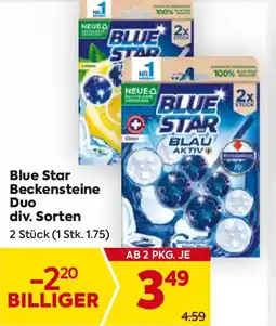 Billa Blue Star Beckensteine Duo Angebot