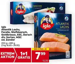 Billa Iglo Atlantik Lachs, Forelle, Wolfsbarsch, Goldbrasse, ASC, Dorsch Angebot