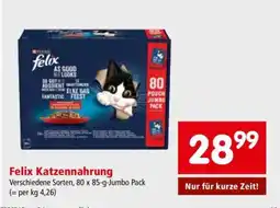 Interspar Felix Katzennahrung Angebot