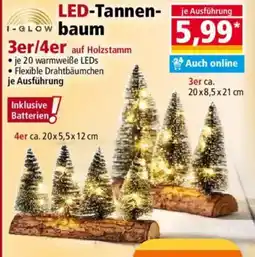 Norma LED-Tannen-baum Angebot
