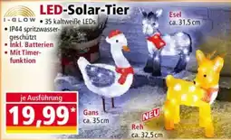 Norma LED-Solar-Tier Angebot