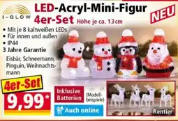 Norma LED-Acryl-Mini-Figur -GLOW Angebot