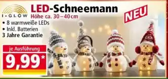 Norma LED-Schneemann Angebot