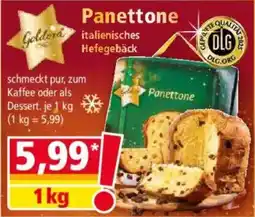 Norma Panettone Angebot