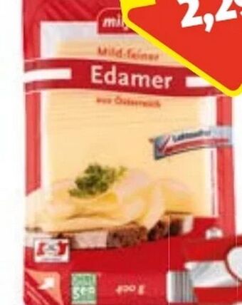 Hofer Edamer Angebot