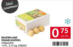 Transgourmet Bauernland semmelknödel Angebot