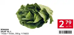 Transgourmet Romana salat kl.1 Angebot