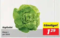 Nah&Frisch Kopfsalat Angebot