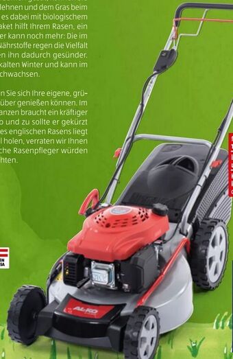 Hofer Benzin-Rasenmäher 519 BRI Angebot
