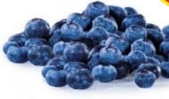 Hofer Heidelbeeren Angebot