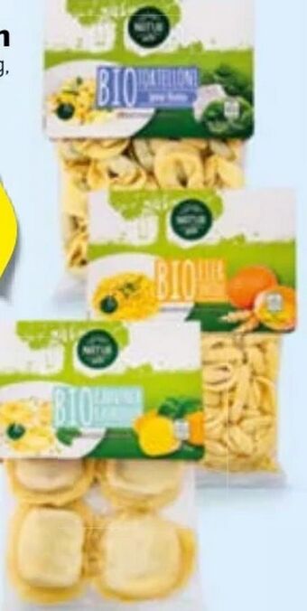 Hofer Bio Teigwaren Angebot