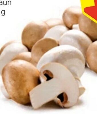 Hofer Champignons Angebot