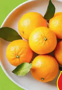 Hofer Hofer Marktplatz Blattclementinen Angebot