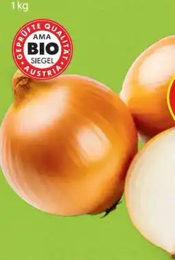 Hofer Zurück zum Ursprung Bio-Zwiebeln Angebot