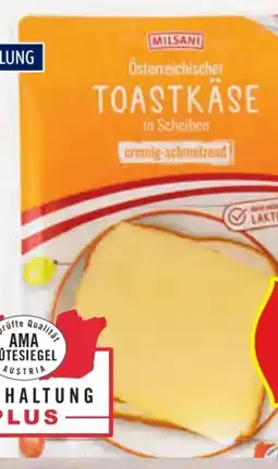 Hofer Milsani Toastkäse Scheiben Angebot