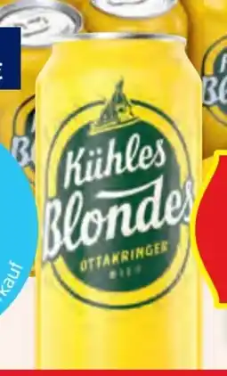 Hofer Ottakringer Kühles Blondes Märzen Angebot