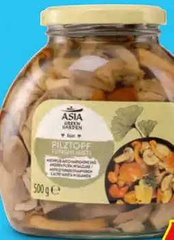 Hofer Asia Green Garden Pilztopf Angebot
