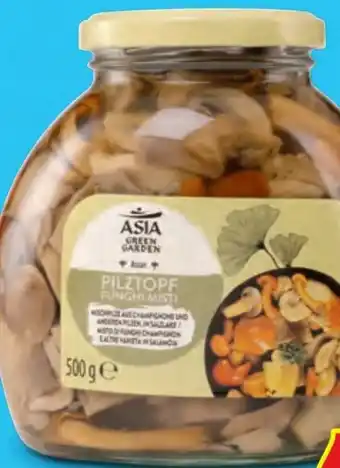 Hofer Asia Green Garden Pilztopf Angebot