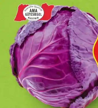 Hofer Hofer Marktplatz Rotkraut Angebot