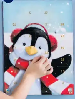 Hofer Monarc Adventskalender Angebot