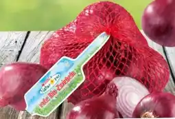 Eurospar Spar Natur pur Bio-Zwiebeln Angebot