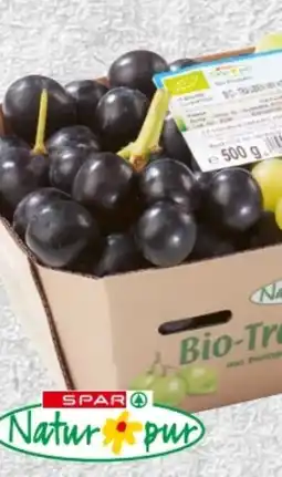 Spar Spar Natur pur Bio-Traubenmix Angebot