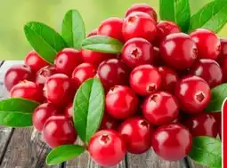 Eurospar Spar Cranberries Angebot