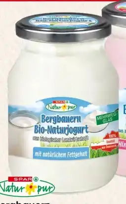 Spar Spar Natur pur Bergbauern Bio-Fruchtjogurt Angebot
