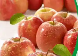 Spar Elstar Äpfel Angebot