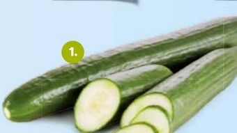 Hofer Gurken Angebot