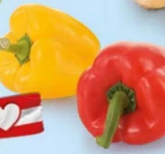 Hofer Paprika Angebot