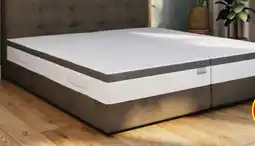 Hofer Traumnacht Matratze Best Ager Angebot